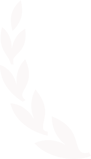 Recommended Agents Network Left