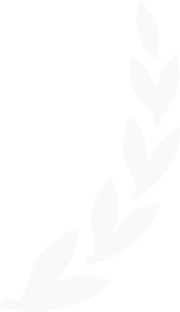 Recommended Agents Network Right