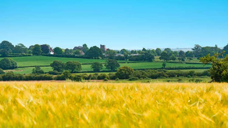 Recommended Estate Agents In Ashford