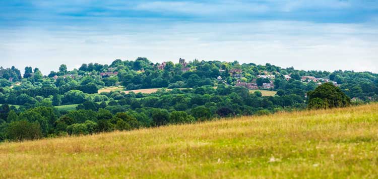 Recommended Estate Agents In Tunbridge Wells
